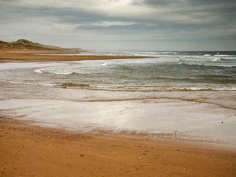 10th November 2024  At the beach