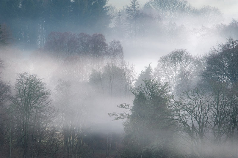 27th December 2024  misty
