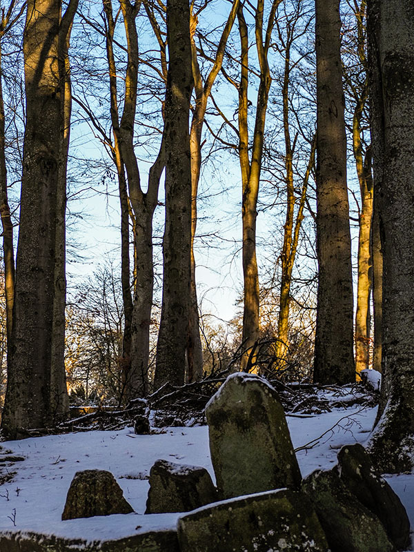 P1090099-2-001.jpg