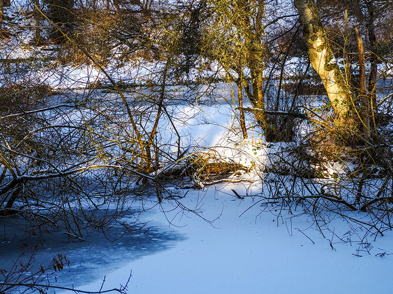 P1090109-2-001.jpg