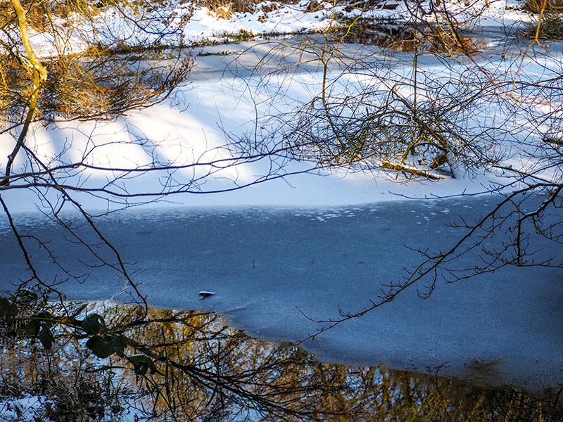 P1090110-2-001.jpg