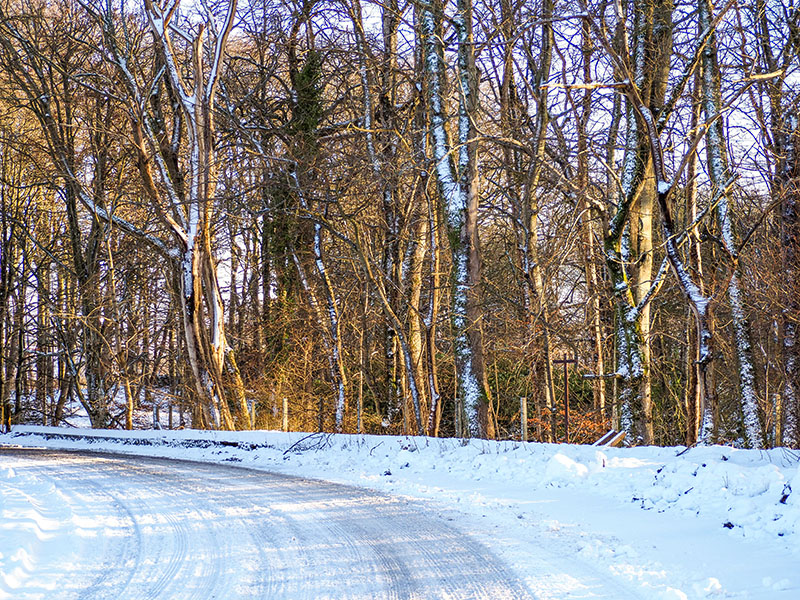 P1090113-2-001.jpg