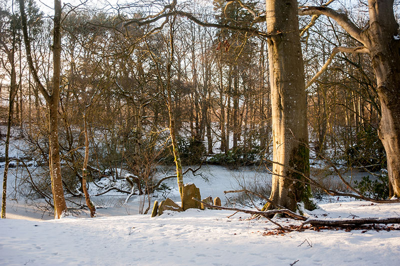 DSC_2435-001.jpg