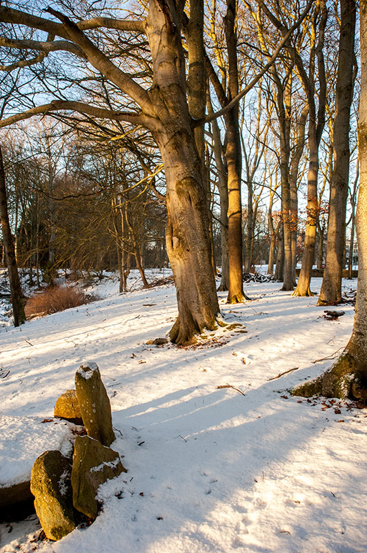 DSC_2436-001.jpg