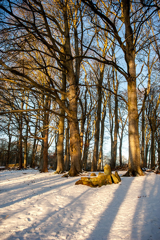 DSC_2439-001.jpg