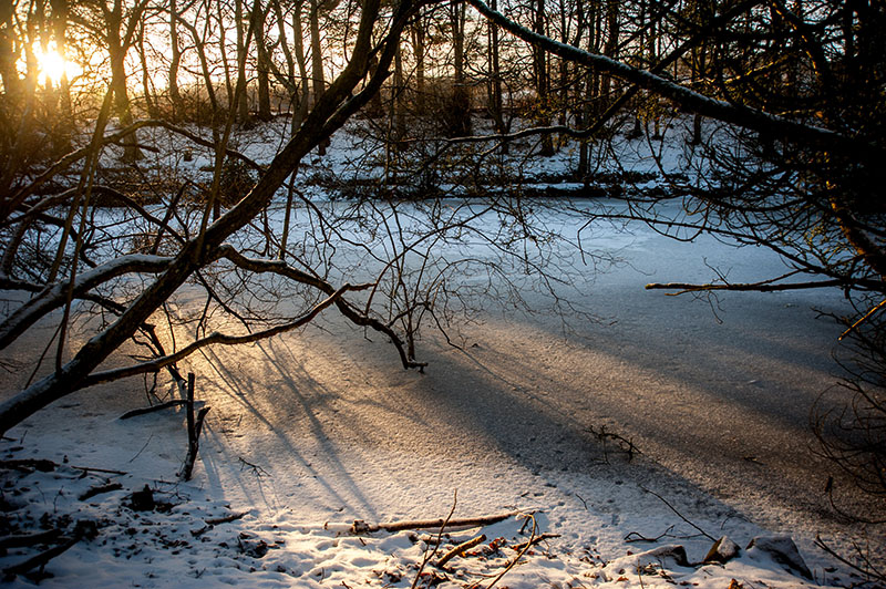 DSC_2443-001.jpg