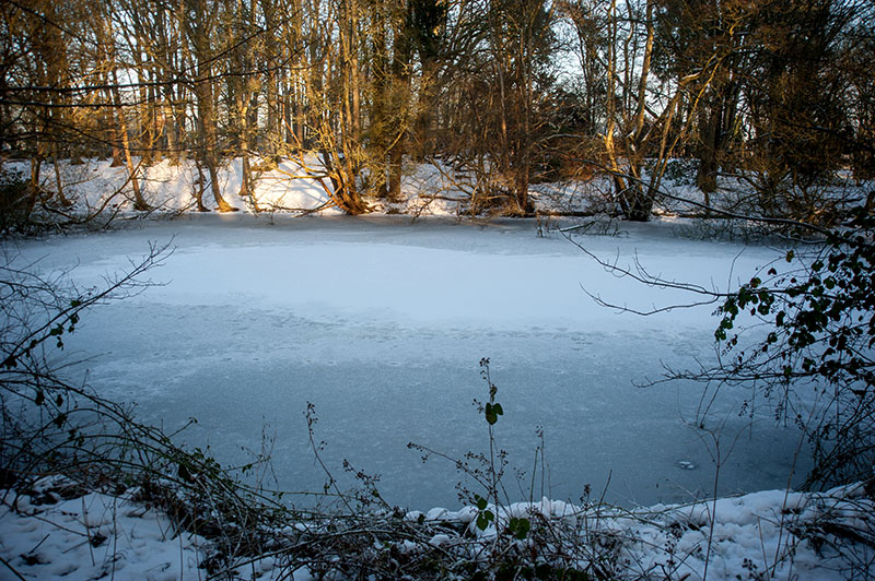 DSC_2448-001.jpg