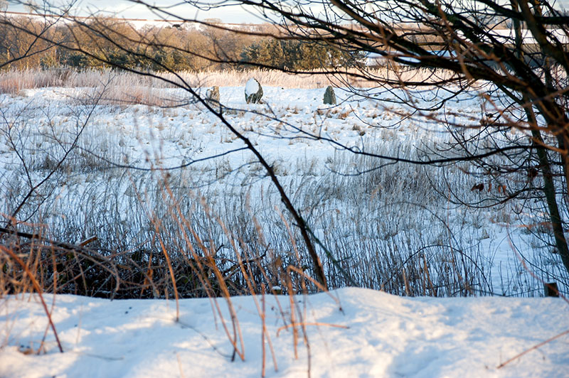 11th January 2025  broomend of Chrichie