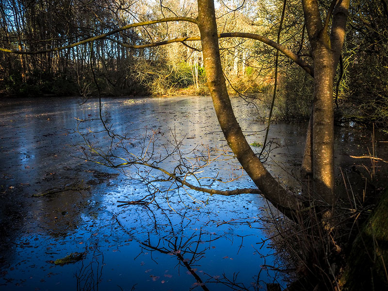 25th January 2025  icy