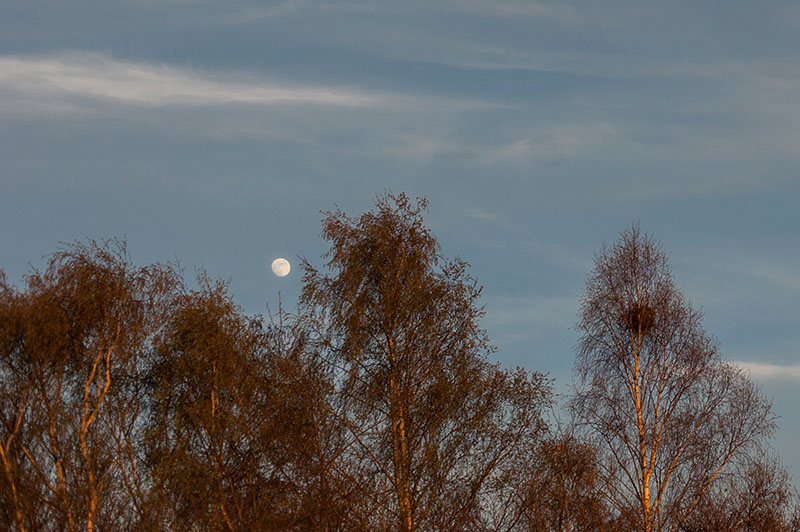 10th April 2025  full moon
