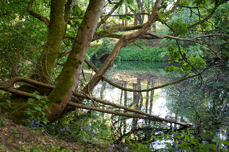 DSC_4874-001.jpg