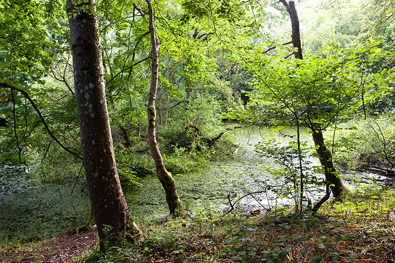 DSC_5189-001.jpg