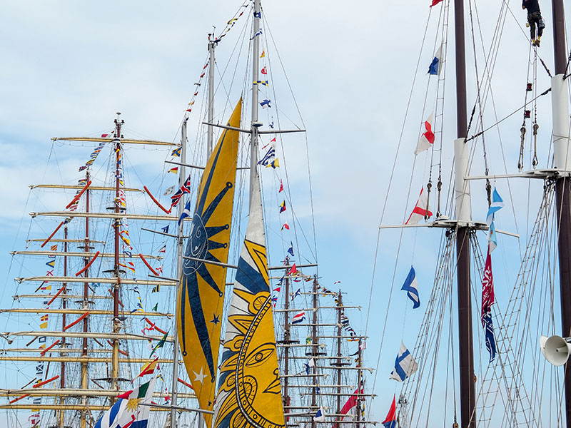 Tall ships race 2025