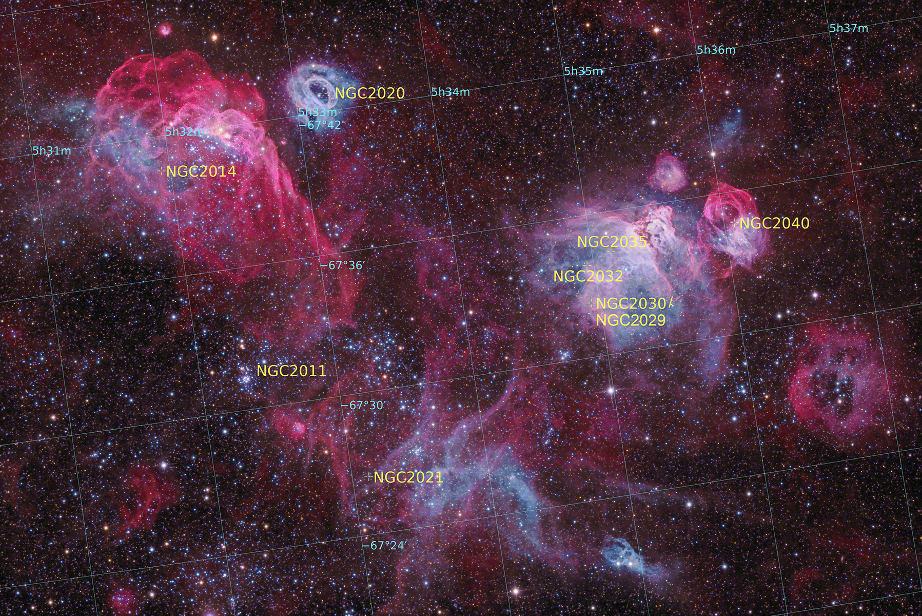 Annotated NGC 2030 & Friends (SCREEN SIZED)