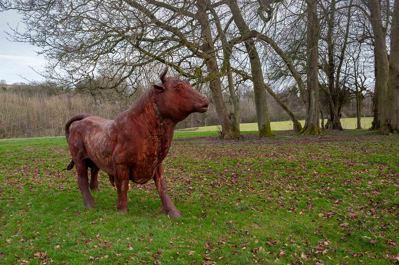 24th - Beware!  Bull In Field...