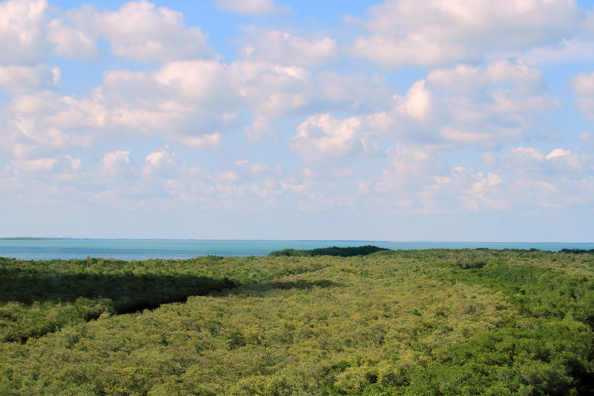 To the Keys