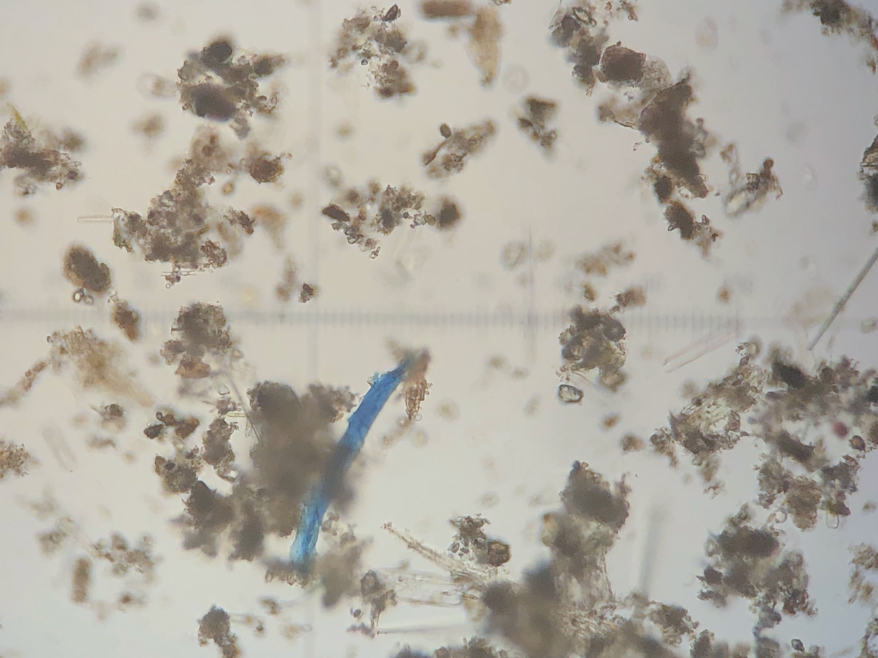 even these Arctic waters are contaminated with micro plastics.jpeg