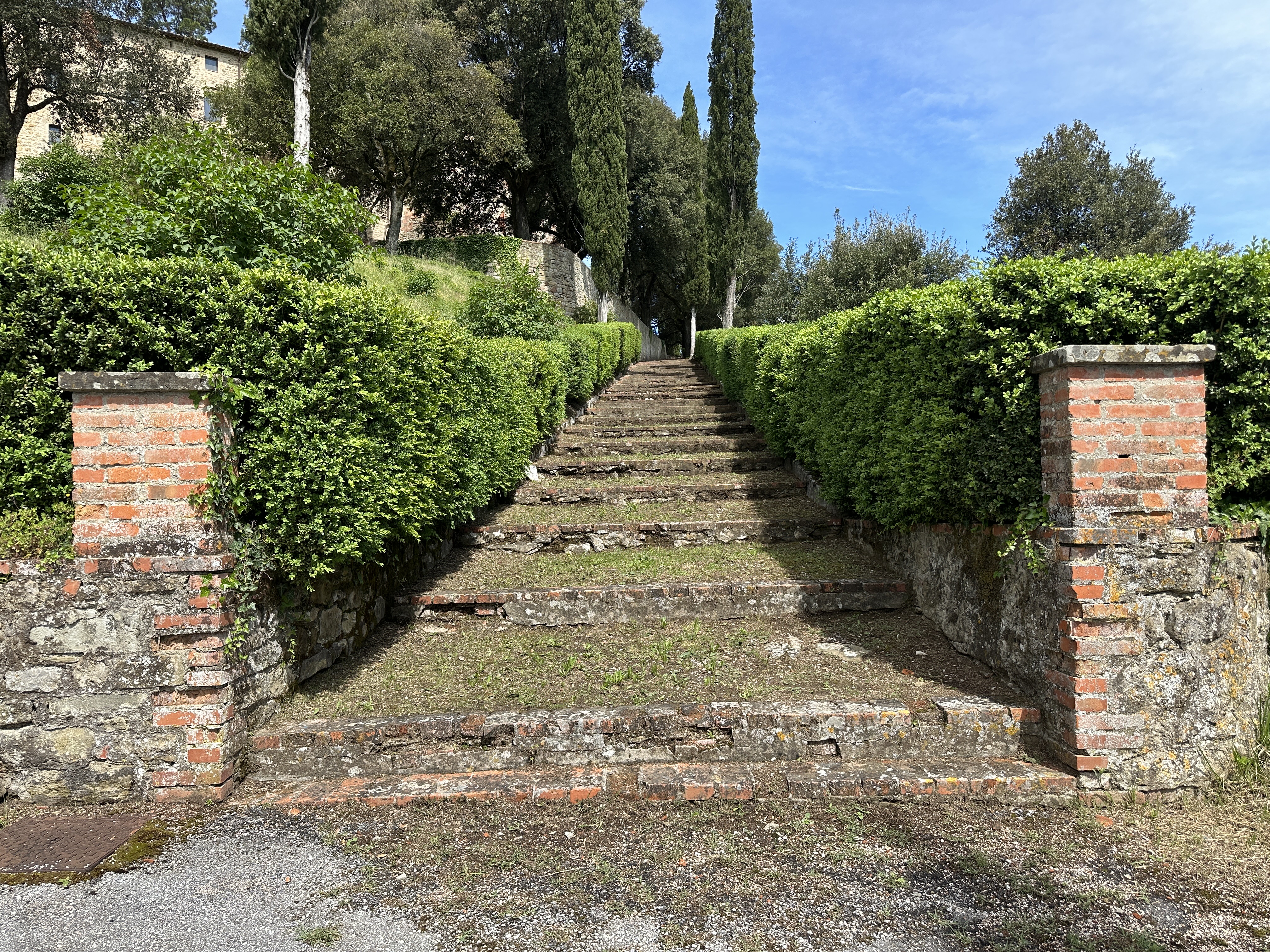 IMG_3994.jpeg