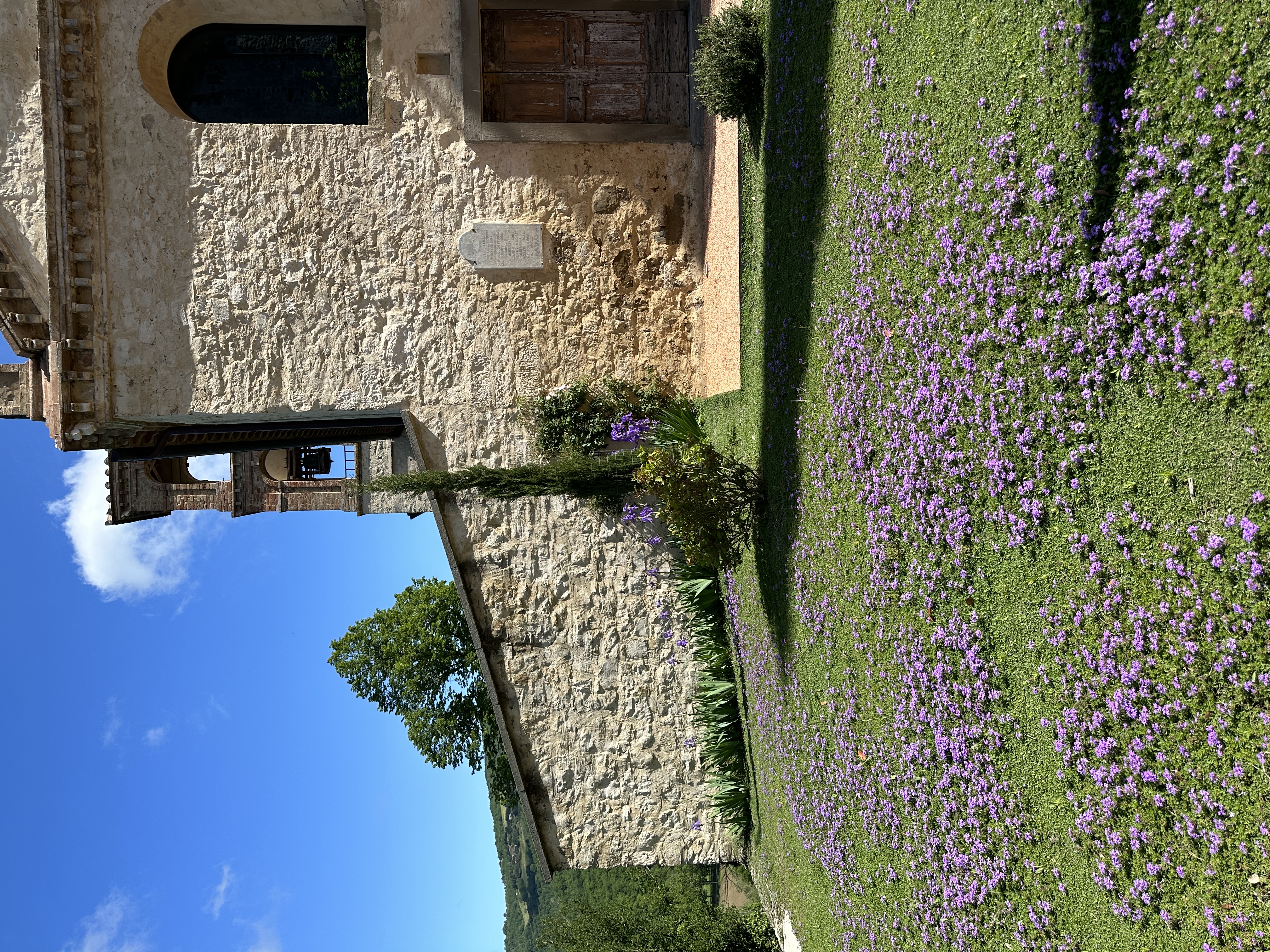 IMG_3971.jpeg