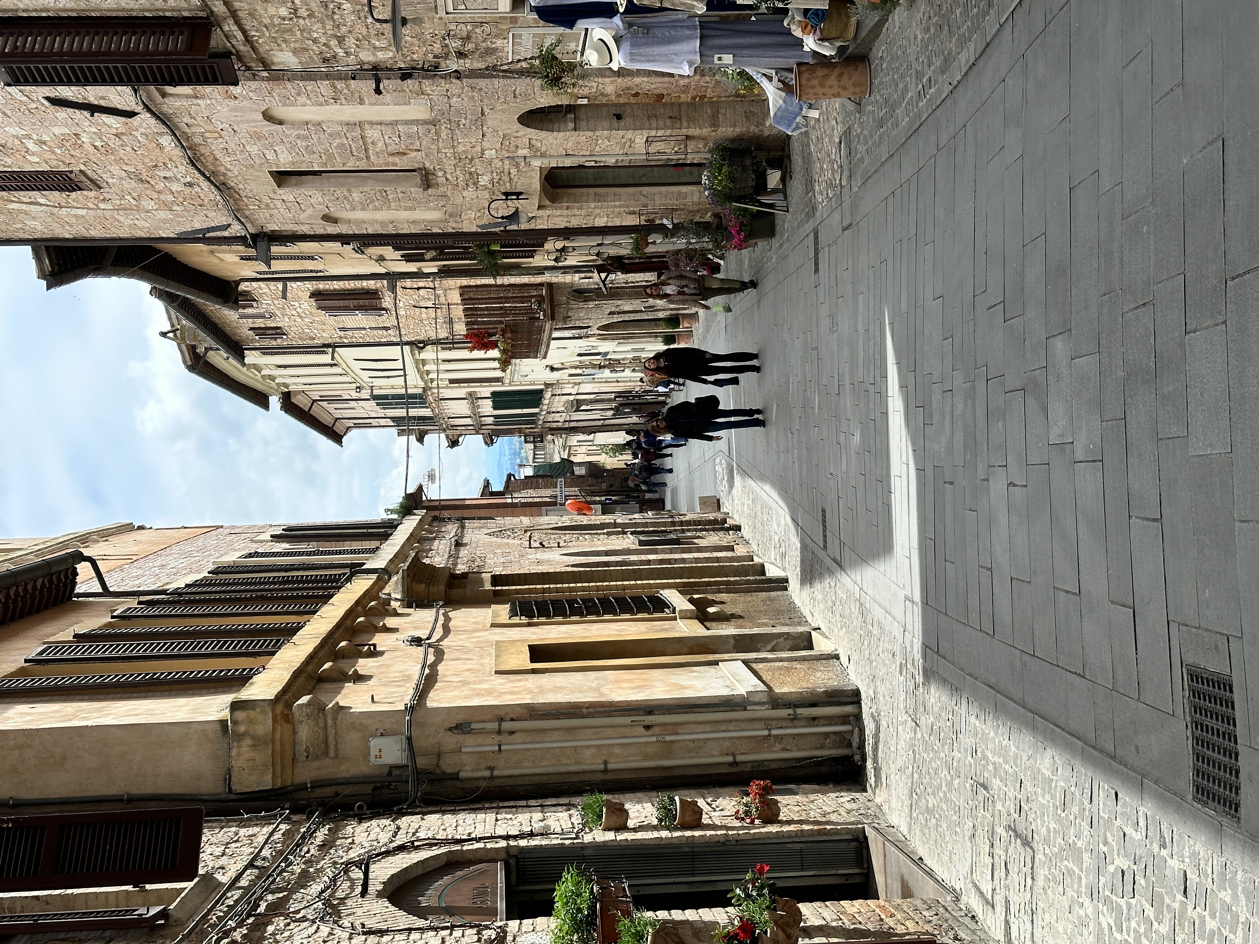 IMG_3958.jpeg