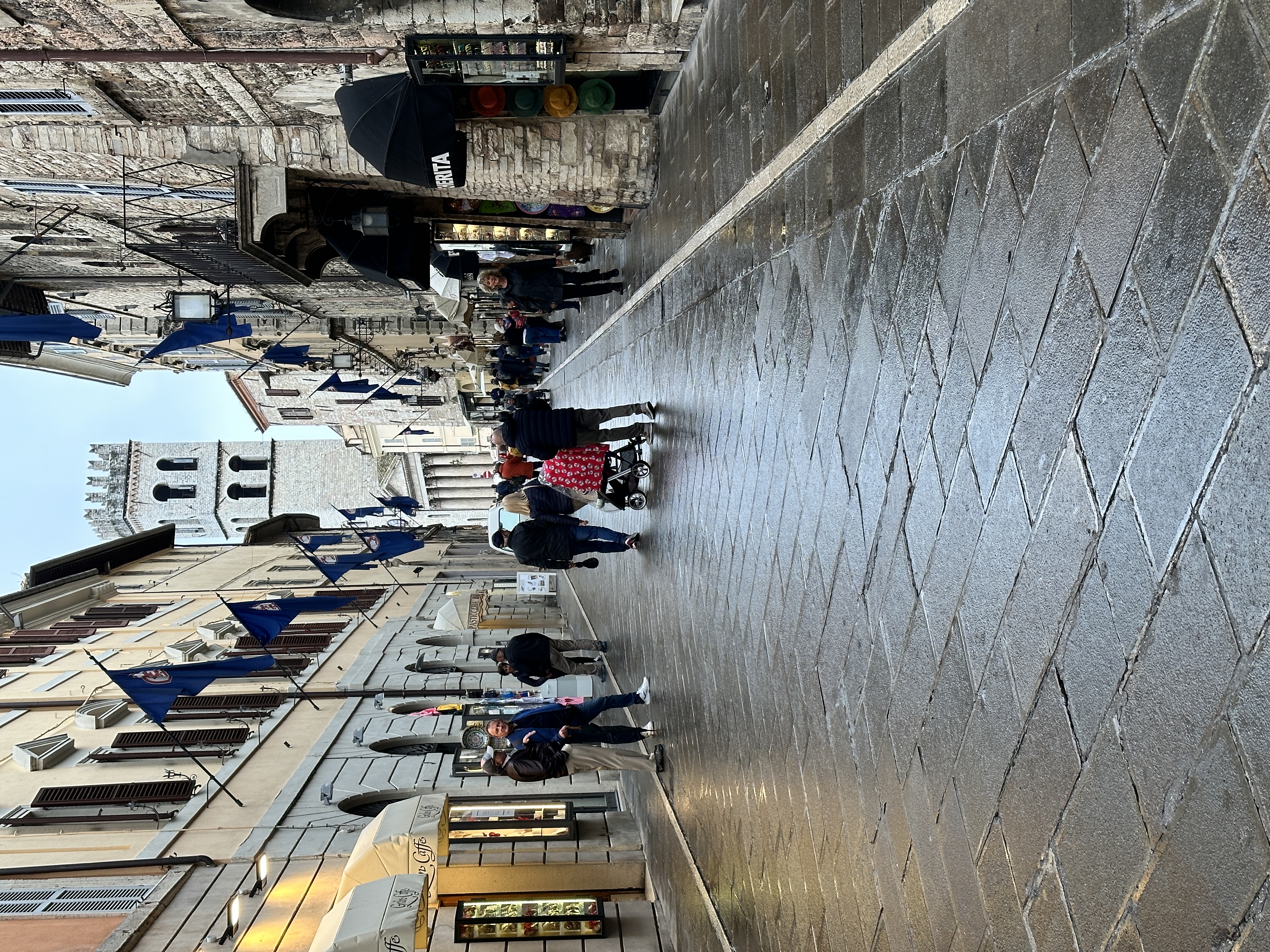 IMG_3947.jpeg