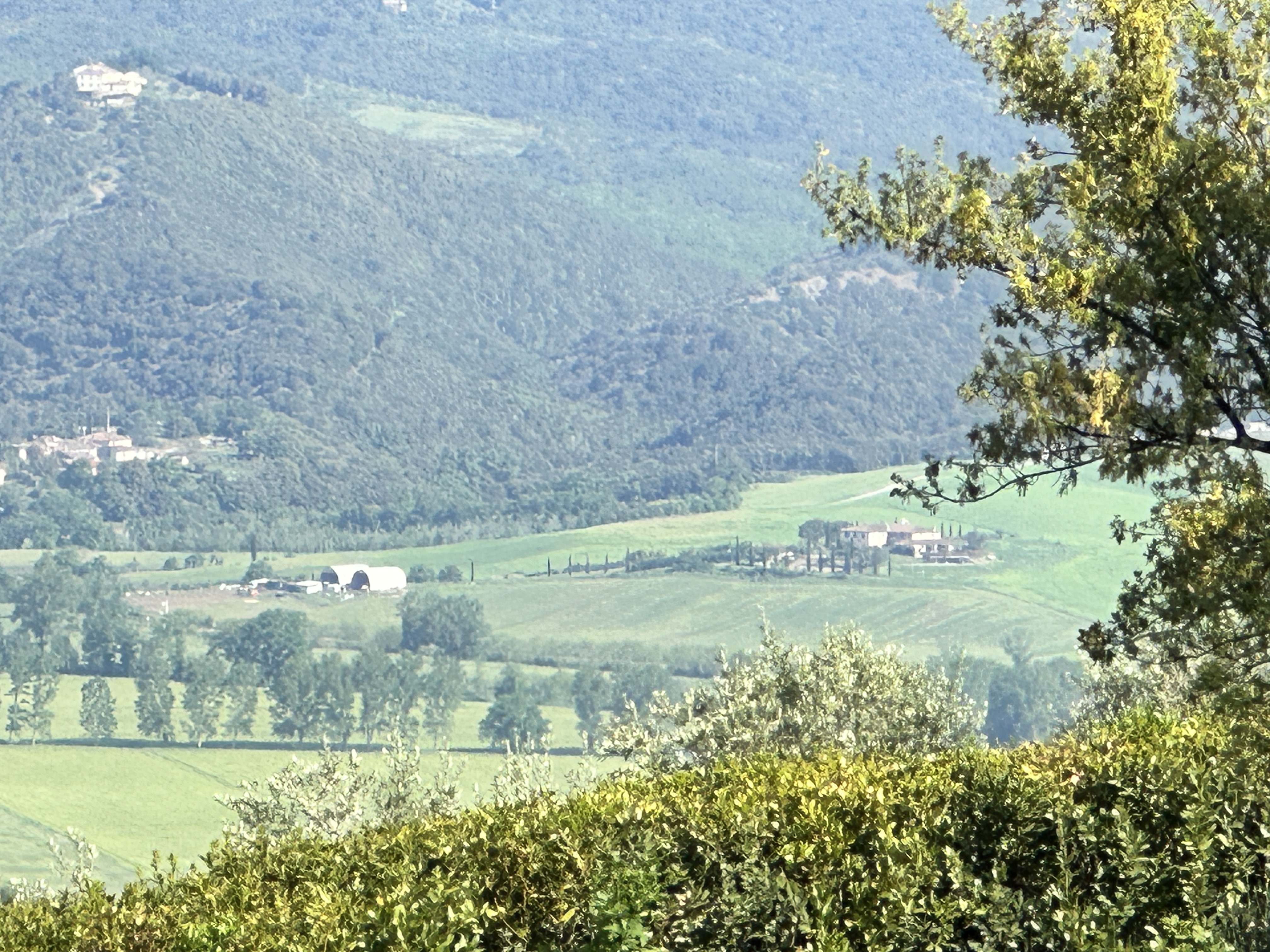 IMG_3723.jpeg