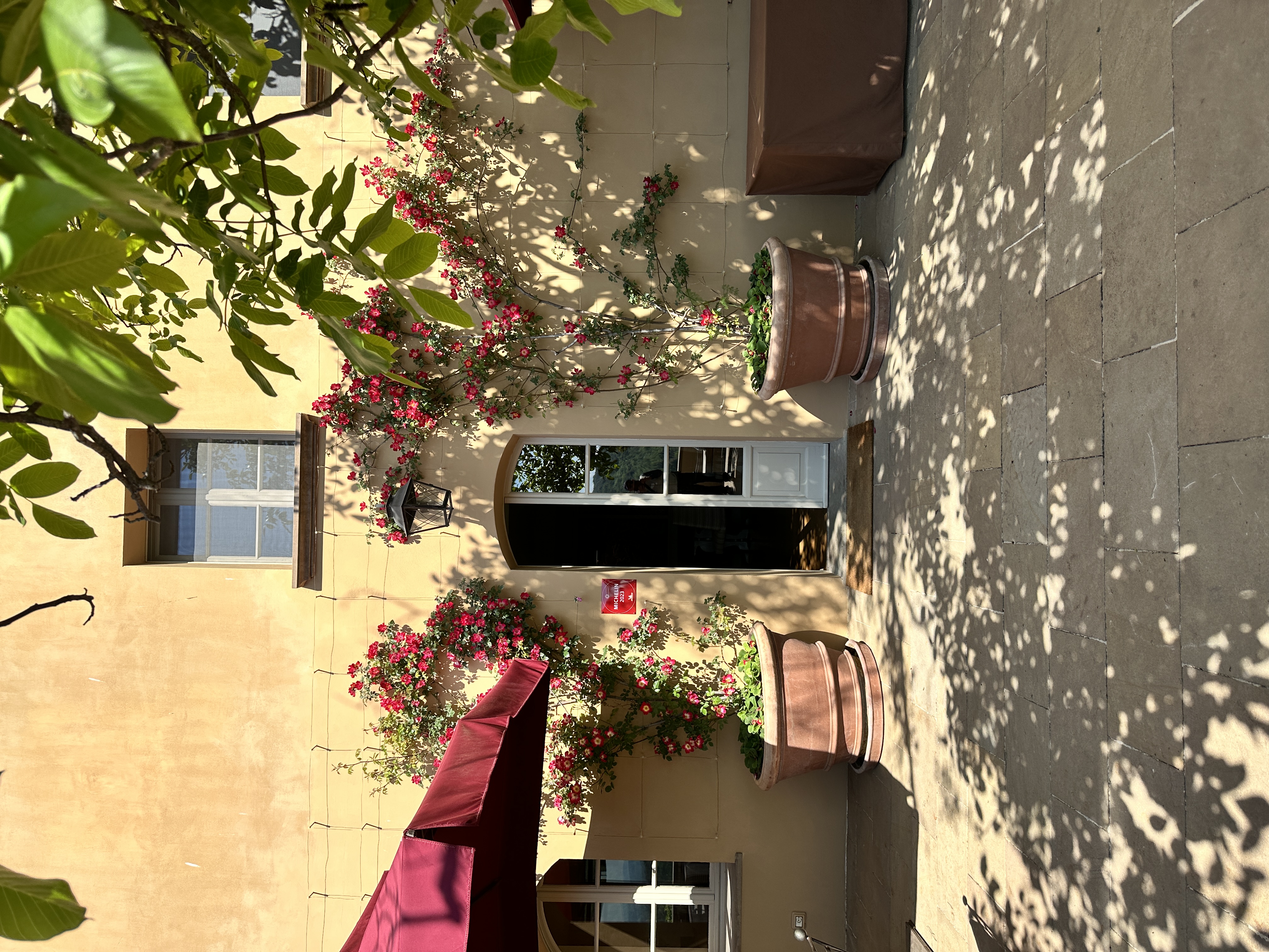 IMG_3729.jpeg