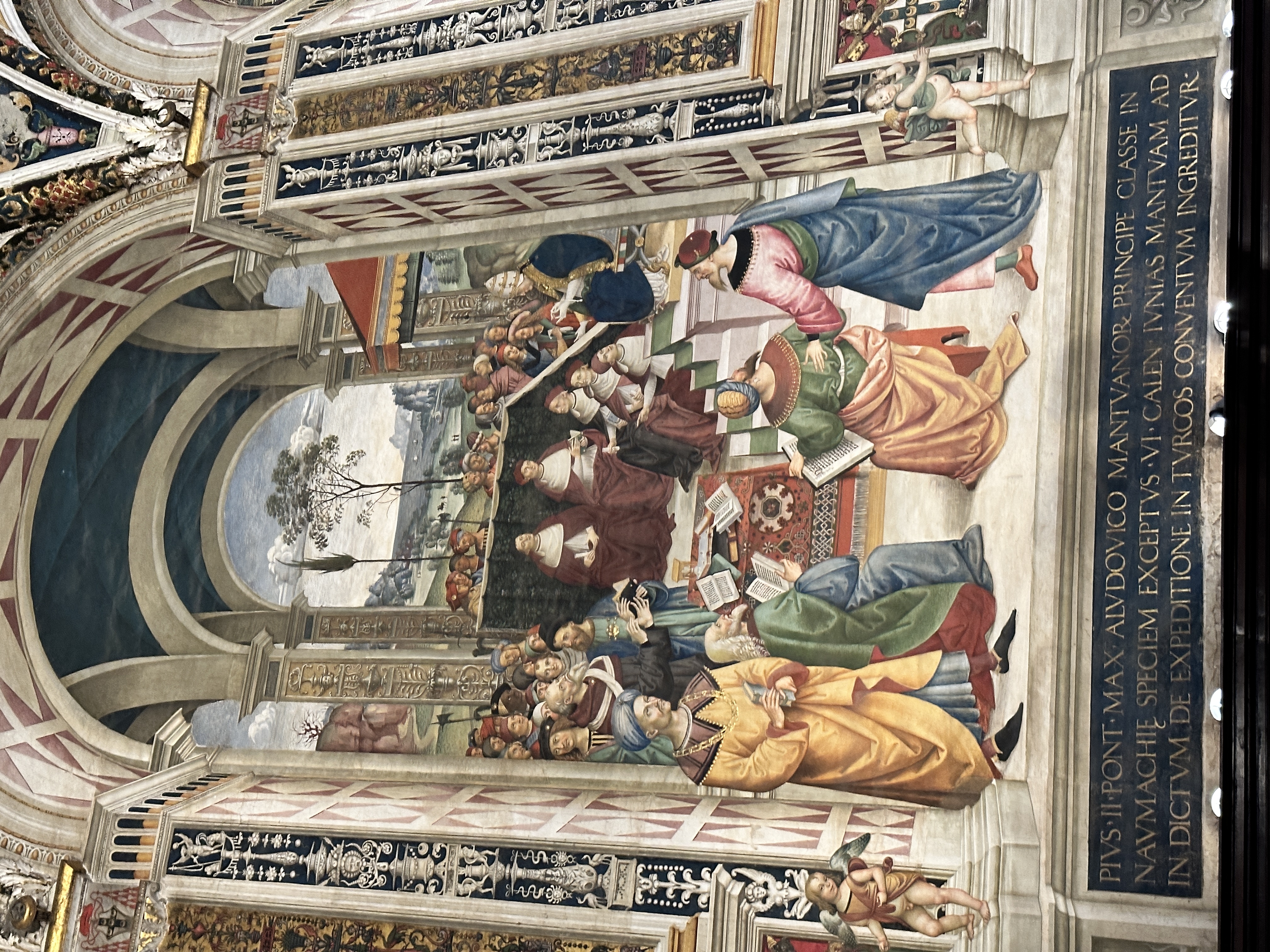 IMG_3831.jpeg