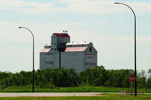 DTC_1036-r.JPG
