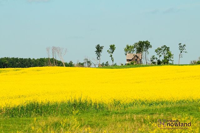 DTC_1186-r.JPG