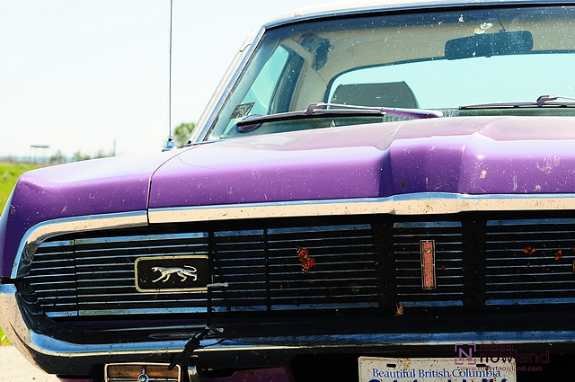DTC_1199-r.JPG
