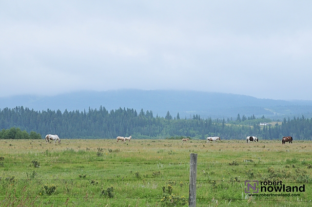 DTC_3909-r.JPG