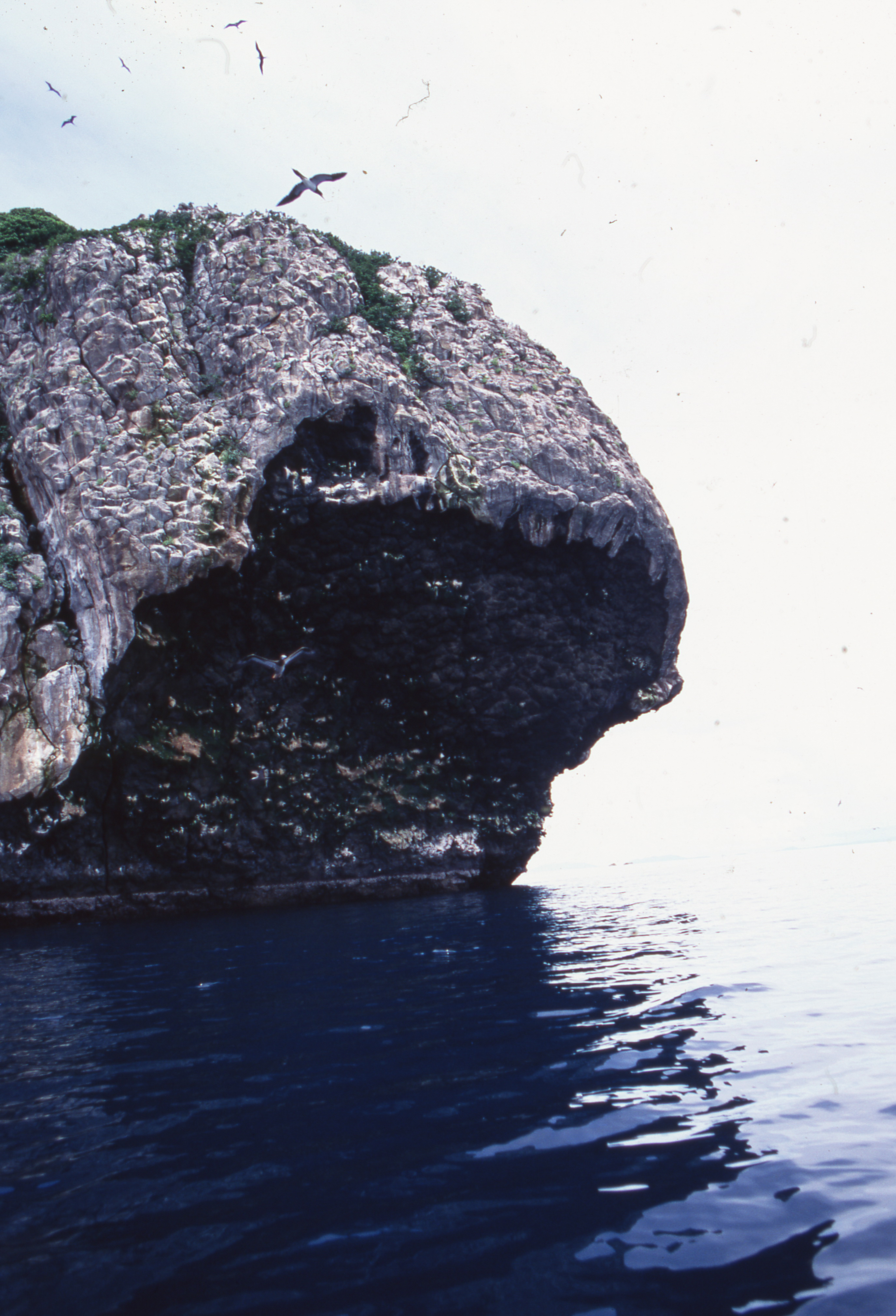 img045.jpg