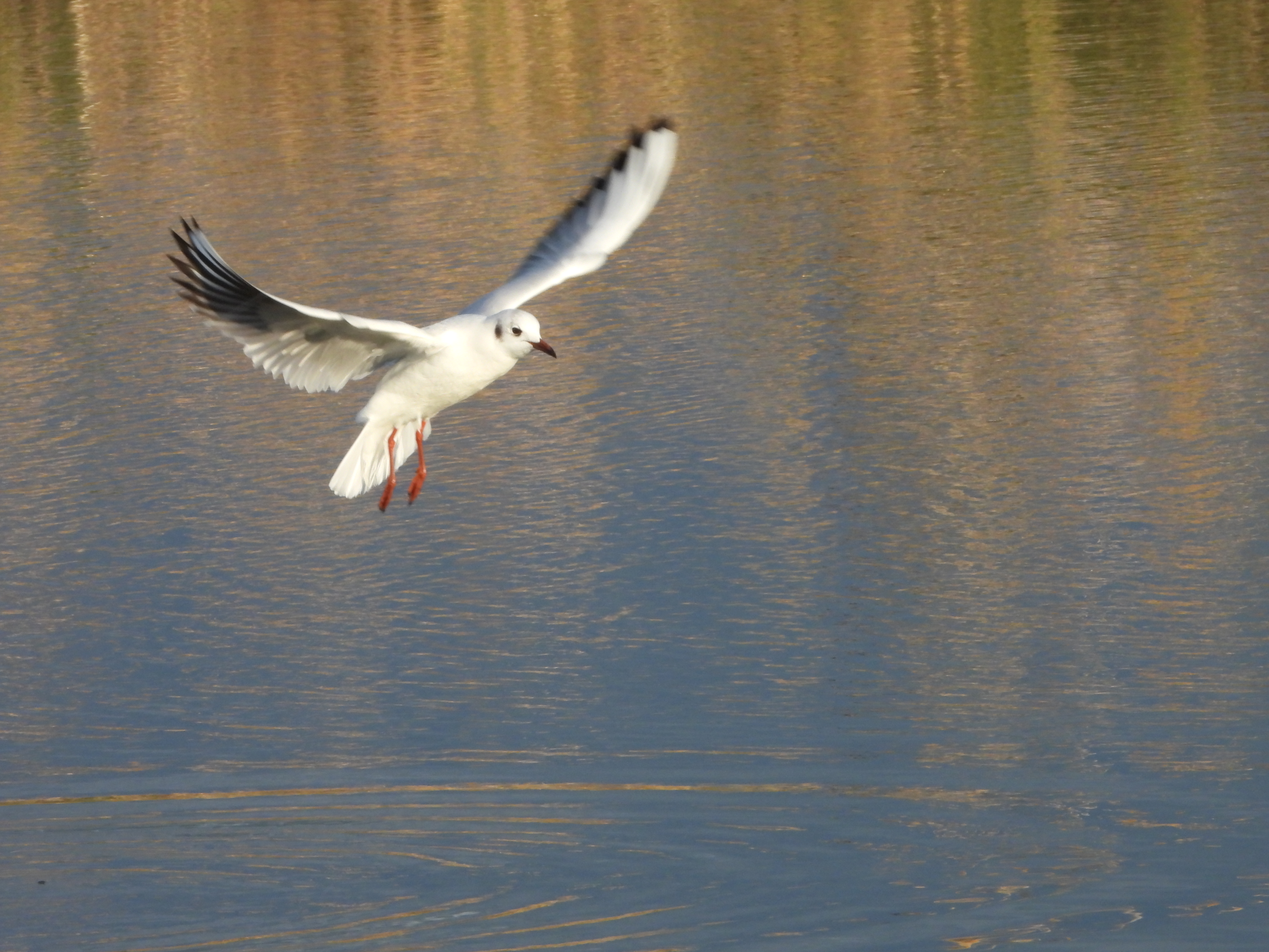 IMG_2357.JPG
