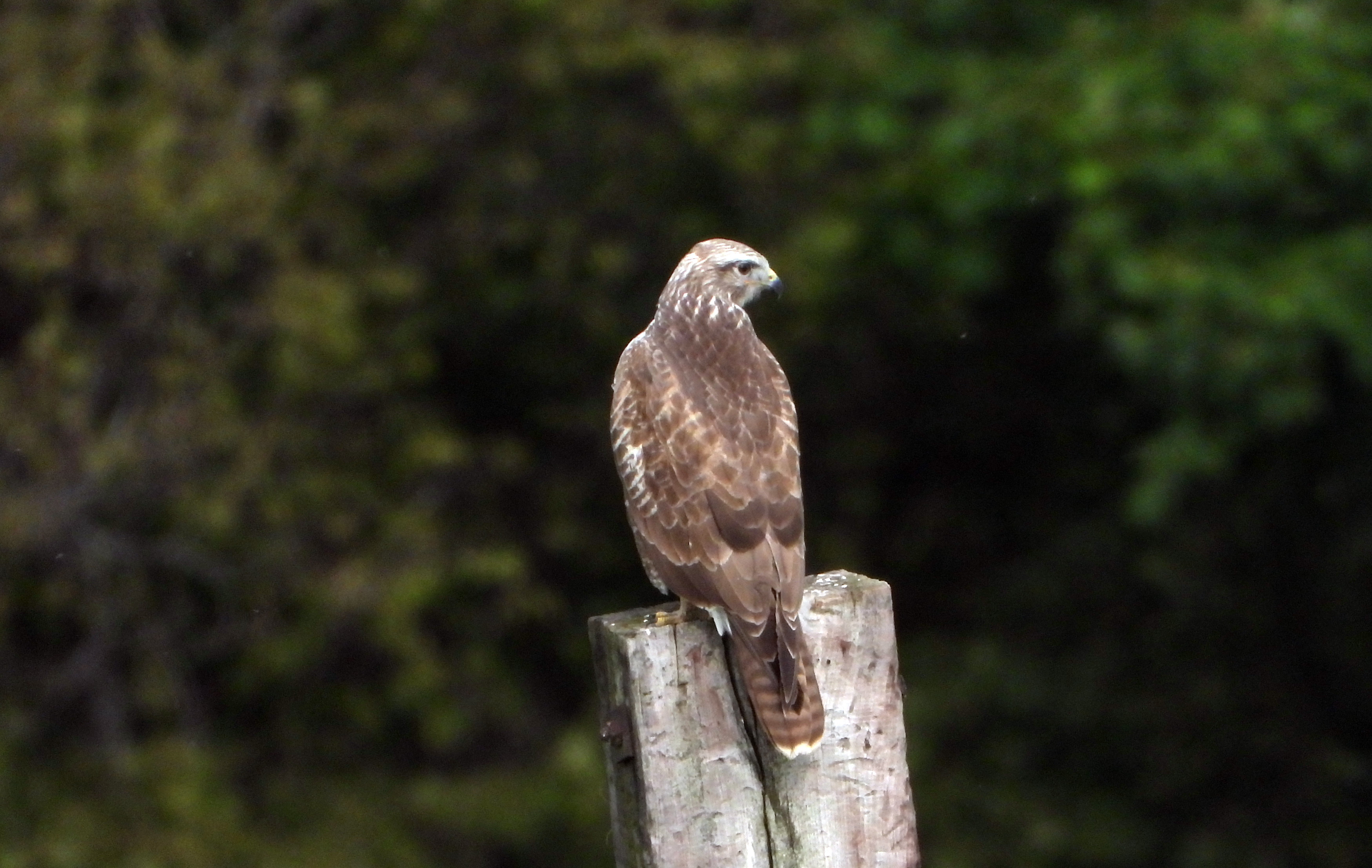 dscn5634.JPG