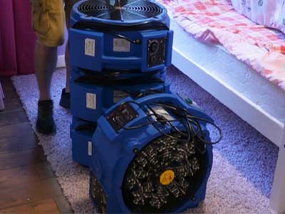 Bed Bug Room Heater Rental