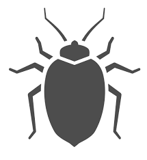 Best Exterminator in Nashville