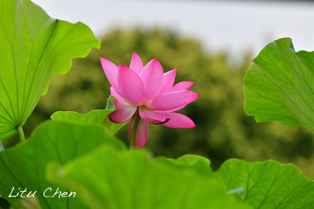 DSC_3579.jpg