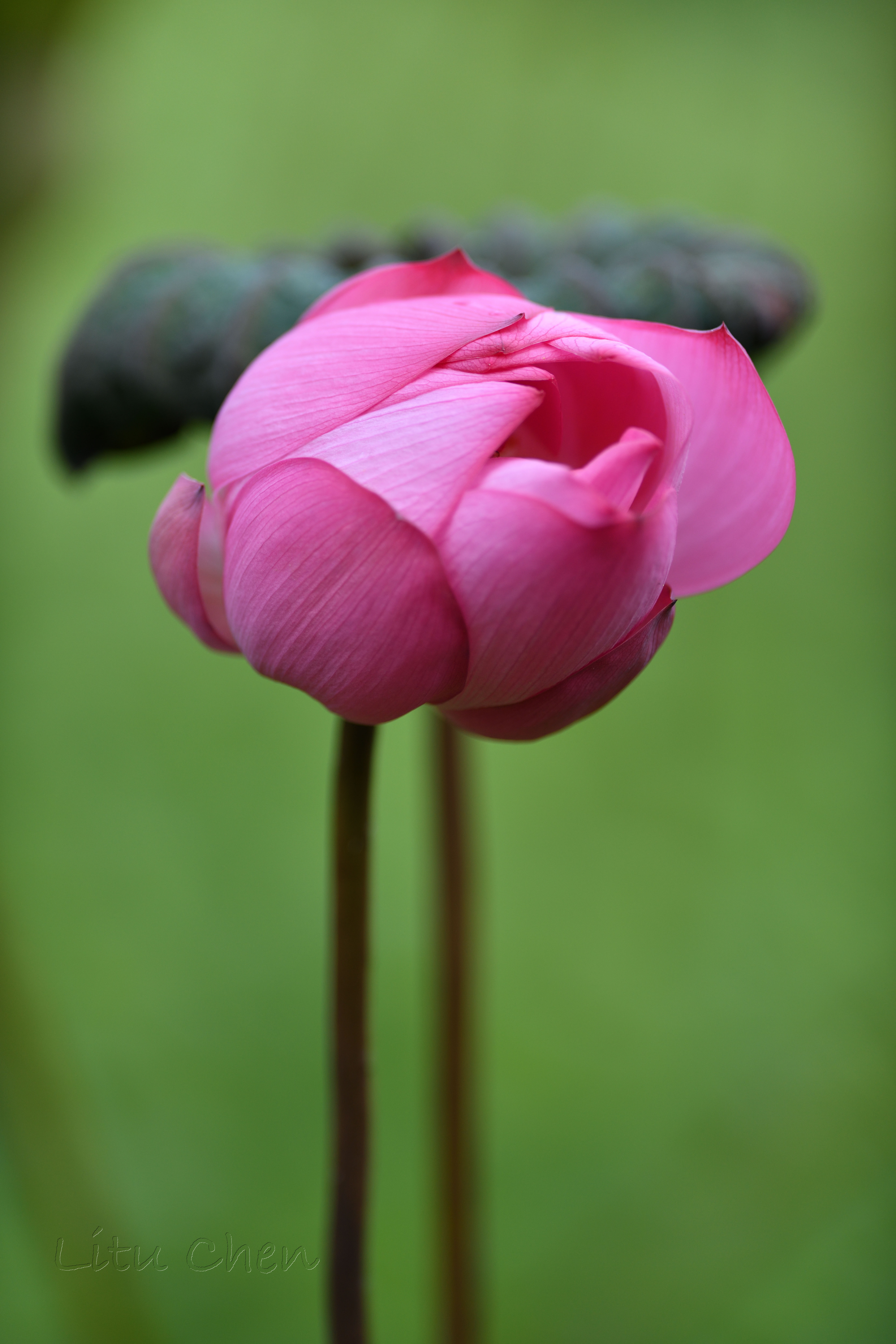 dsc_8283.jpg