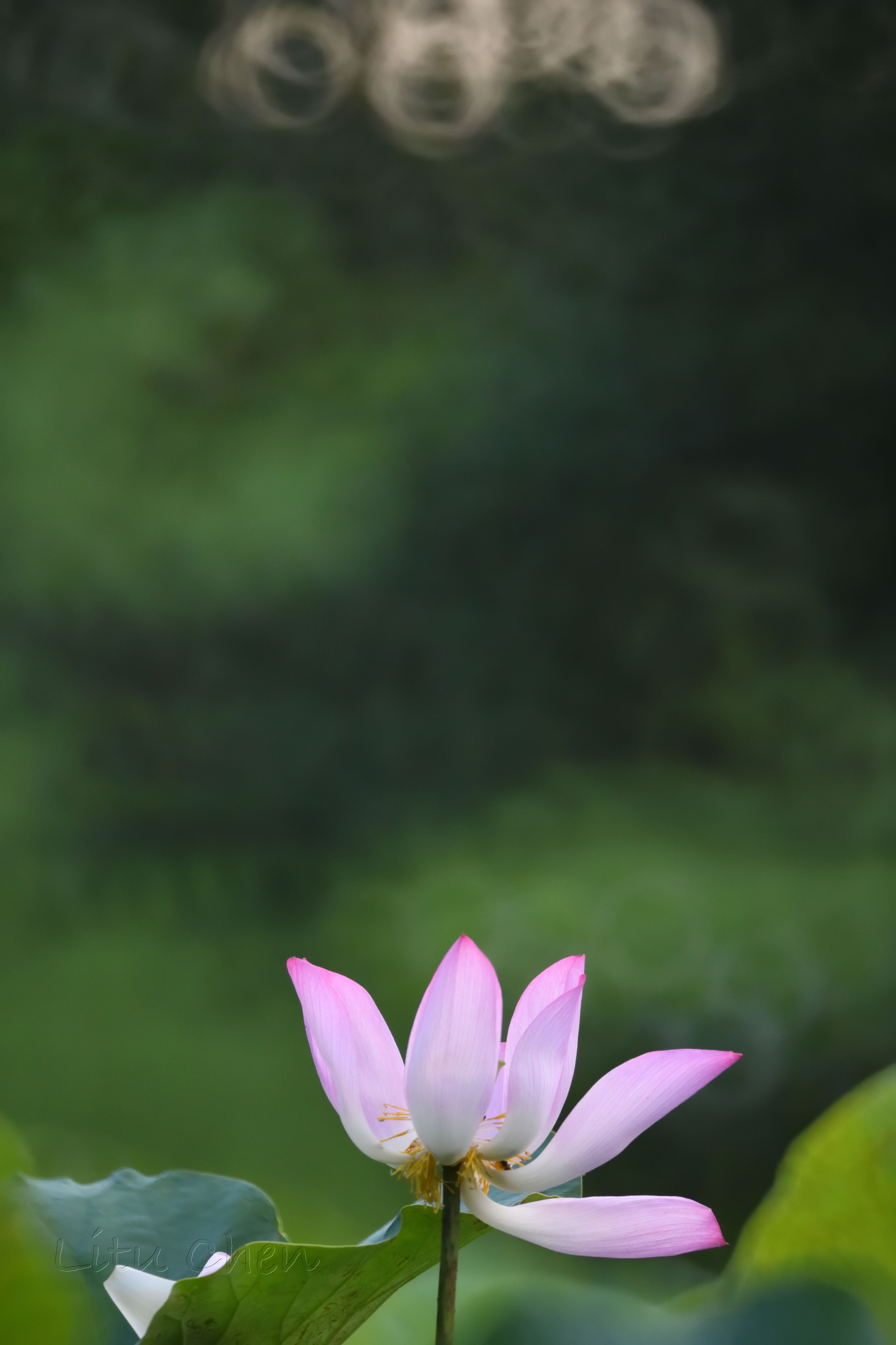 dsc_8792.jpg