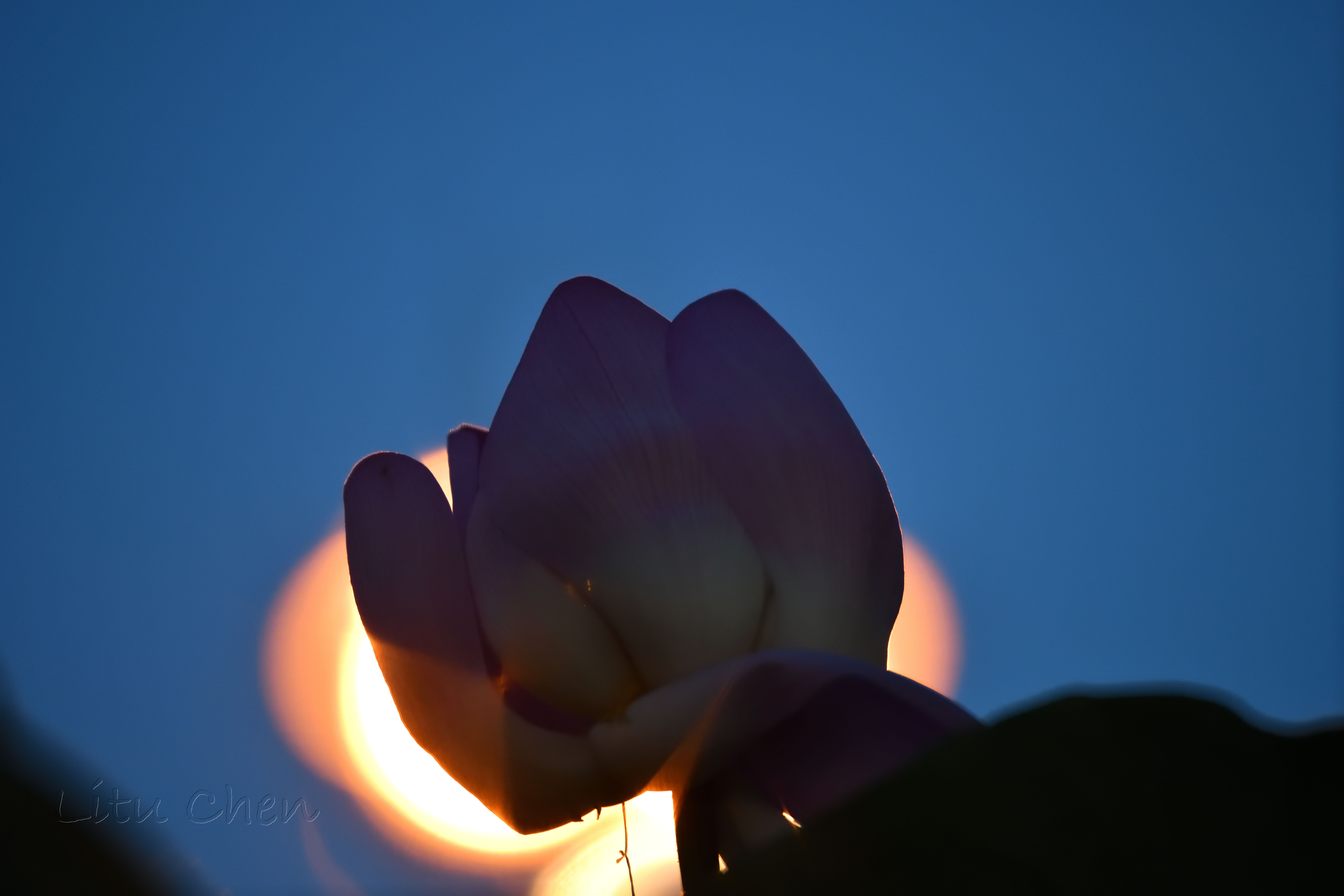 dsc_9415.jpg
