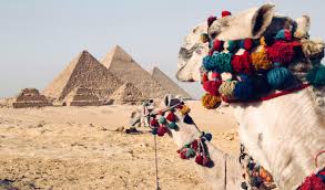 Luxury Tours in Egypt