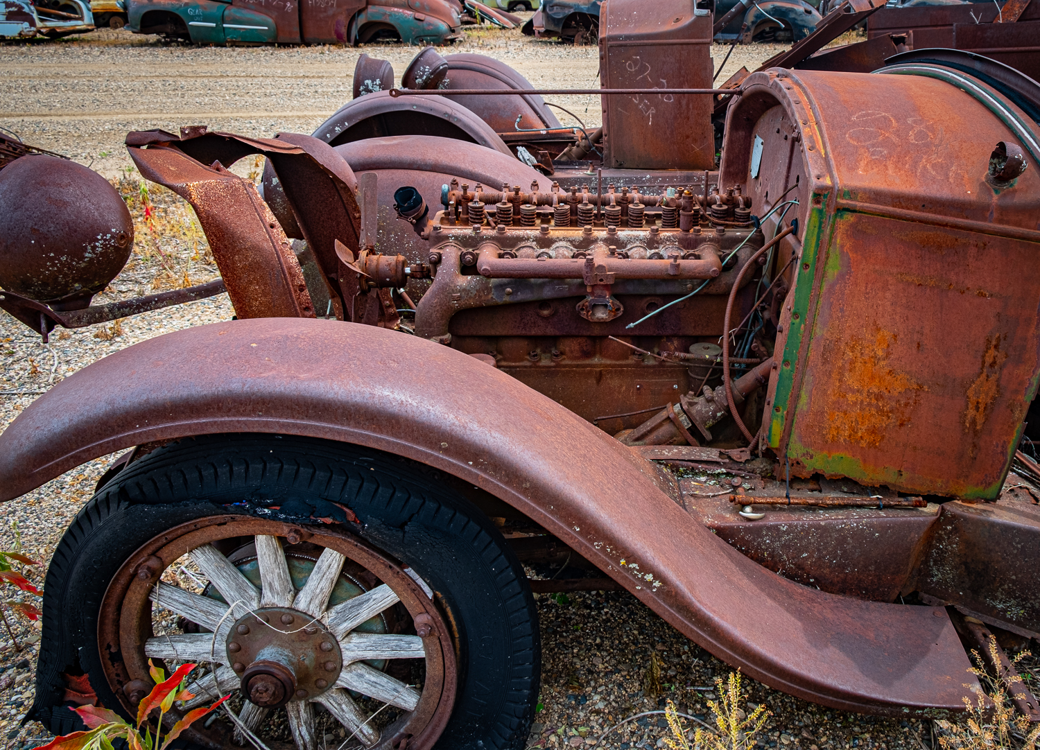 Song, From A Buick 6 By Bob Dylan