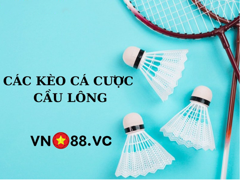 vn88vc nh ci uy tn để chơi c độ cầu lng khng bị chặn