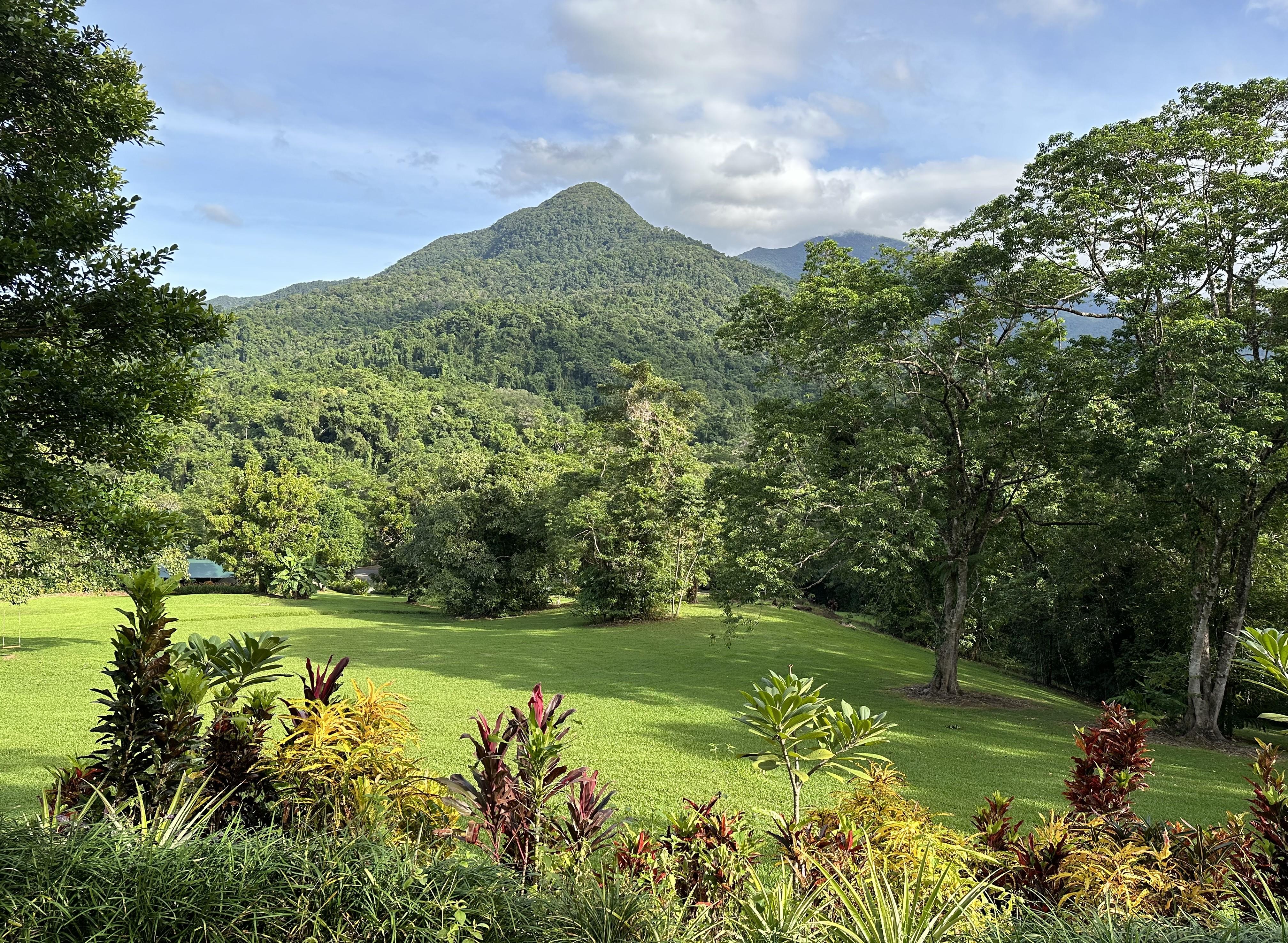 Daintree Rainforest Village, Diwan, QLD