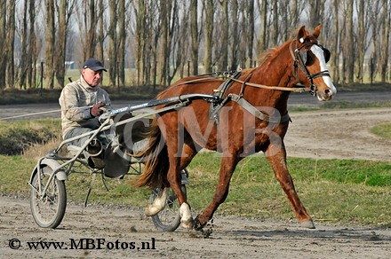 _MBF0793.jpg