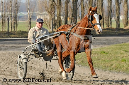_MBF0840.jpg