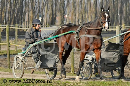 _MBF0680.jpg