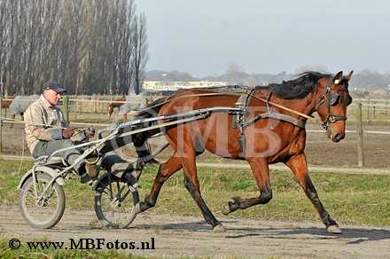 _MBF0687.jpg
