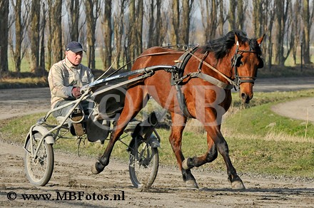 _MBF0694.jpg